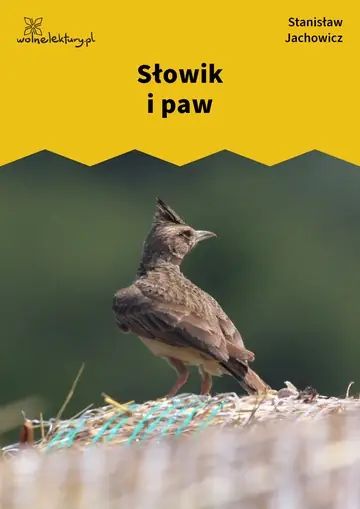 Słowik i paw