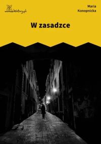 W zasadzce