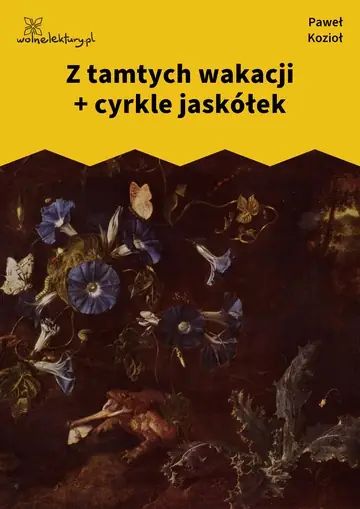 Z tamtych wakacji + cyrkle jaskółek