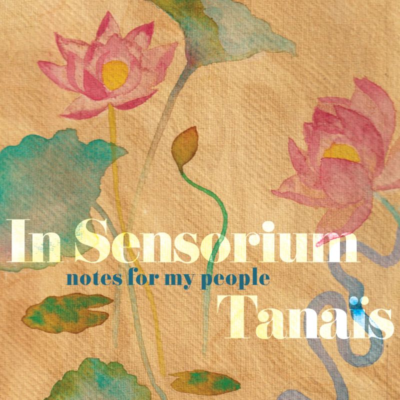 In Sensorium