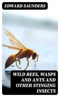 Wild Bees, Wasps and Ants and Other Stinging Insects
