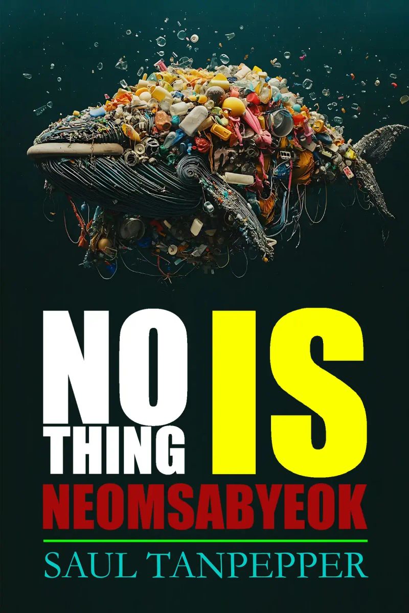 Nothing is Neomsabyeok
