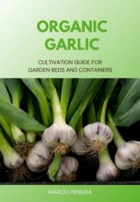 Organic Garlic