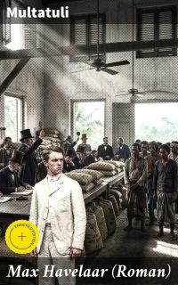 Max Havelaar (Roman)