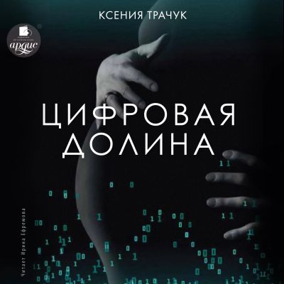 Цифровая долина cover