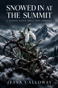 Snowed in at the Summit