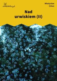 Nad urwiskiem (II)