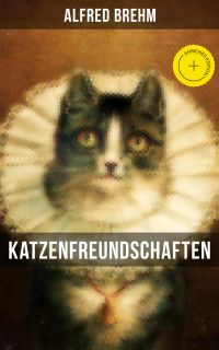Katzenfreundschaften
