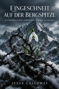 Eingeschneit auf der Bergspitze