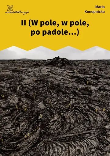 II (W pole, w pole, po padole...)