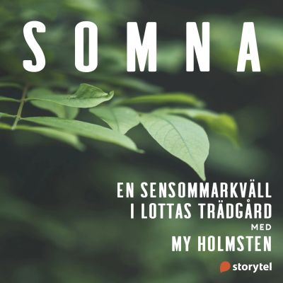 En sensommarkväll i Lottas trädgård