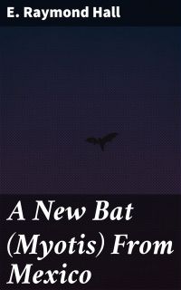 A New Bat (Myotis) From Mexico