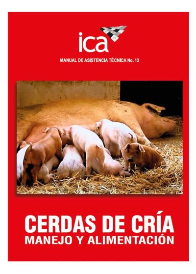 Cerdas de cría: manejo y alimentación