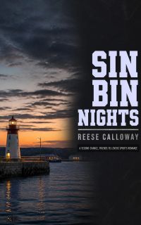Sin Bin Nights