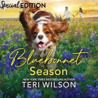 Bluebonnet Season