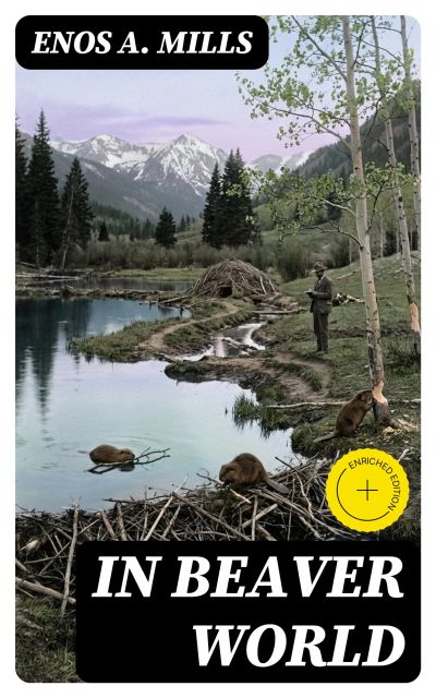 In Beaver World