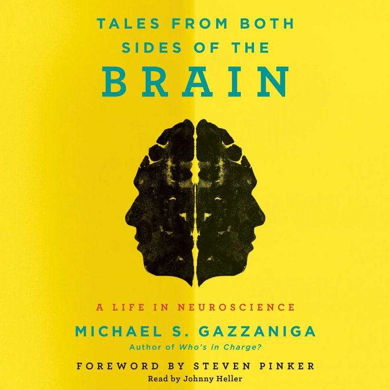 Tales from Both Sides of the Brain