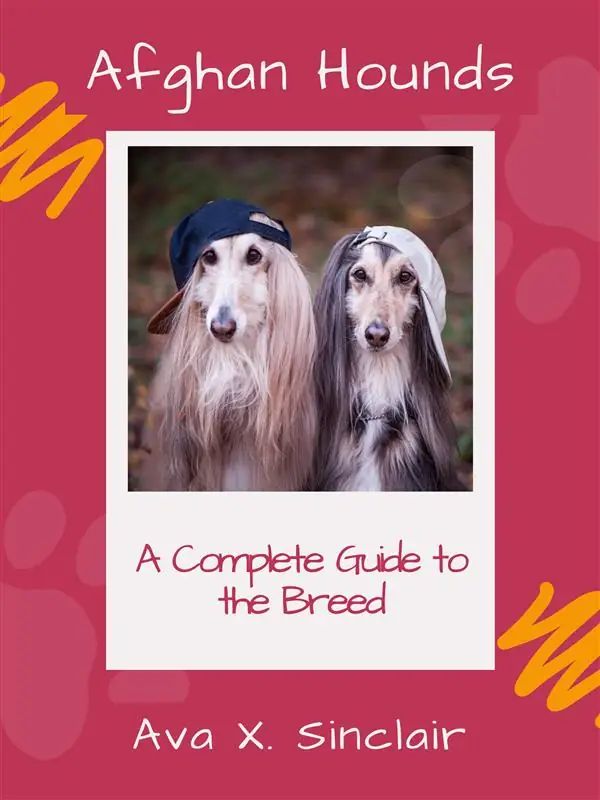 Afghan Hounds A Complete Guide to the Breed