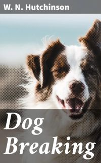 Dog Breaking