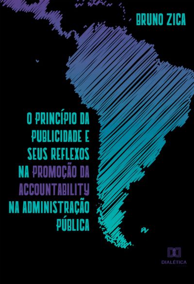 O princípio da publicidade e seus reflexos na promoção da accountability na administração pública