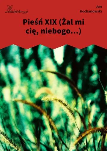 Pieśń XIX (Żal mi cię, niebogo...)
