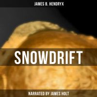 Snowdrift