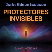 Protectores Invisibles