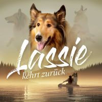 Lassie kehrt zurück