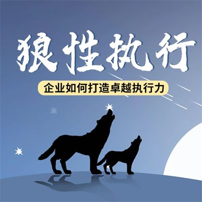 狼性执行:企业如何打造卓越执行力