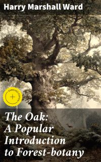 The Oak: A Popular Introduction to Forest-botany