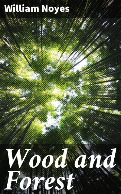 Wood and Forest