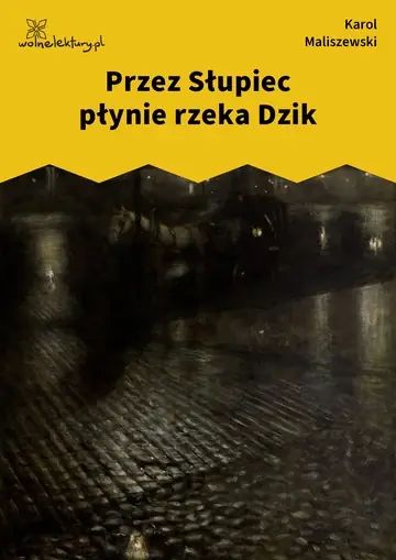 Przez Słupiec płynie rzeka Dzik
