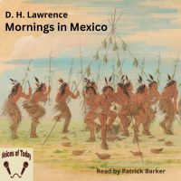 Mornings in Mexico
