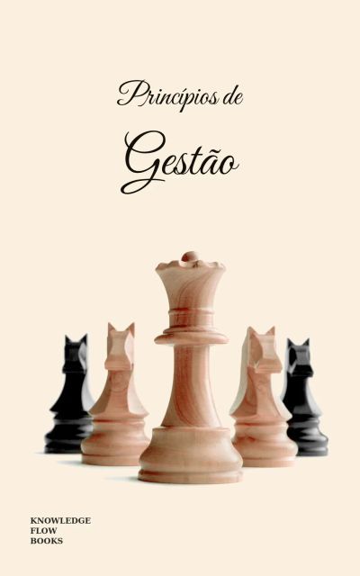 Princípios de Gestão