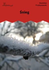 Śnieg