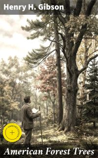 American Forest Trees