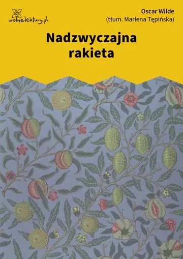 Nadzwyczajna rakieta